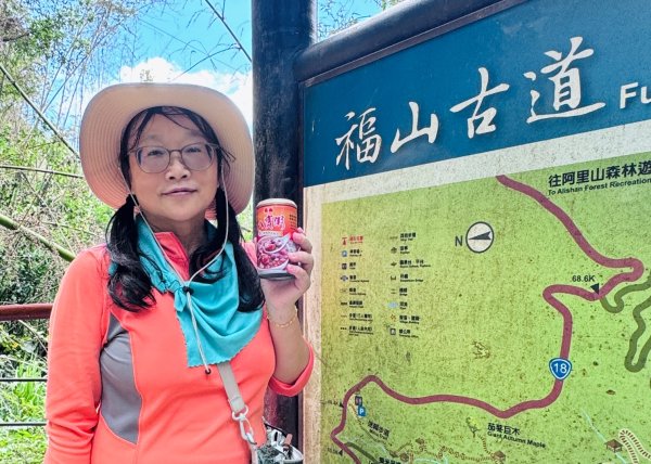 阿里山迷糊步道-福山古道2793384