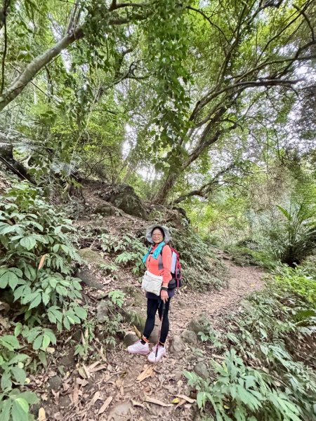 鳴鳳山古道群走鳴鳳山 三湖山吃仙草冰2923273