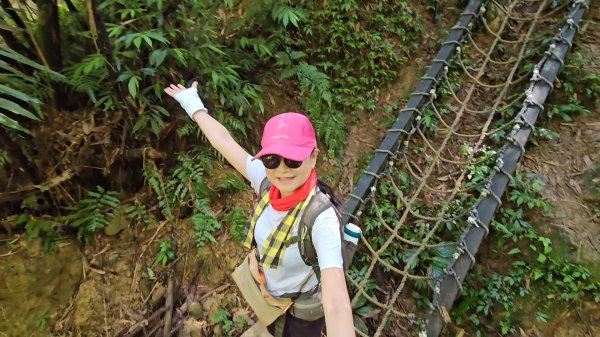 望古瀑布~嶺腳瀑布+深坑美食.阿柔洋.貓空2858431