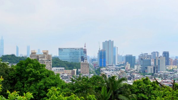 南港四小山。韓美磋2766475