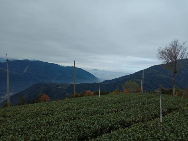 20211219南投仁愛南東眼山南峰、南東眼山基石風景1554746