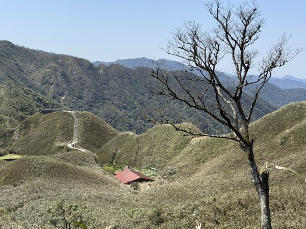2025/03/21 聖母山莊 抹茶山 三角崙山2935137