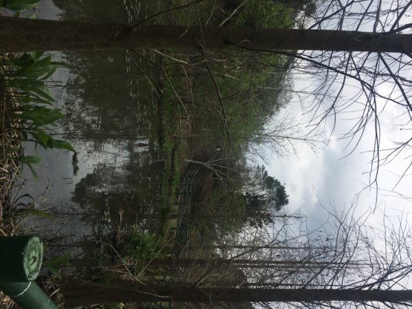 四十二份湧泉2723169