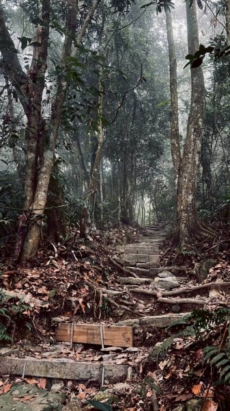 🌈12/14(日)南部最佳百岳練習場~小百岳-尾寮山✨FB：熊熊趴爬走🌈2961694