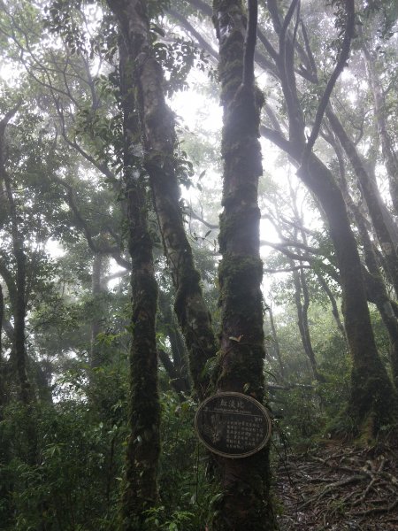 浸水營古道2374038