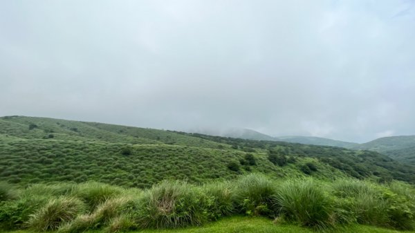 230701 擎天崗環形步道 🐂2201282