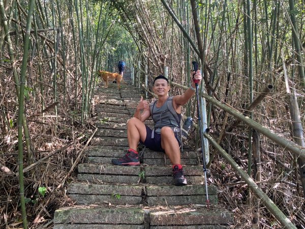 三寶山(烏心石山.鳩州嶺.尖凍山)步道【變成夢魘的大秘寶】2639875