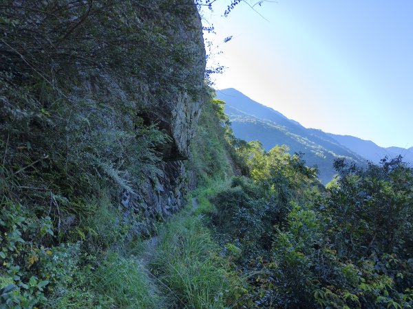 [玉山尋寶任務-07/12] 2025_0824 八通關雲龍瀑布步道2870617