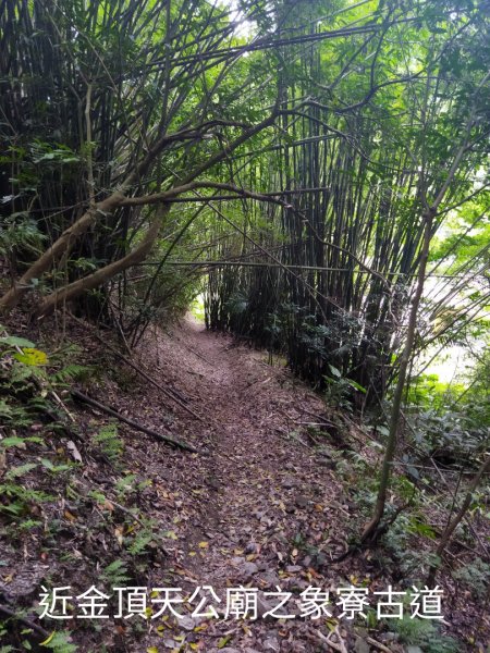 淡蘭古道中路後段1801216