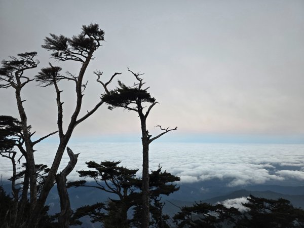 北大武山（喜多麗斷崖）雲海、雲霧、耶穌光之美2467634