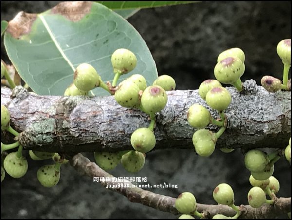 基隆嶼海上龍珠秘境之島724587