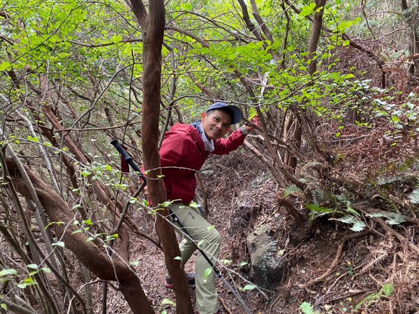 硫磺谷.龍鳳谷.大砲岩.石壇山【大巨蛋 跳起來 可以嗎?】2686324