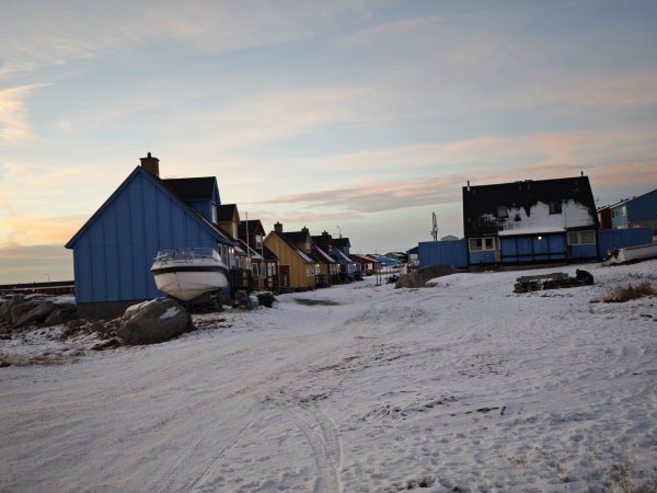 [紐約馬之行-32] 2025_1106 格陵蘭犬2947916