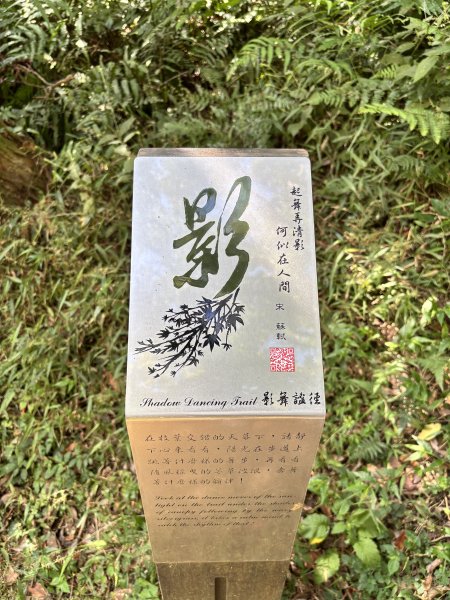面天山、向天山、向天池2921068