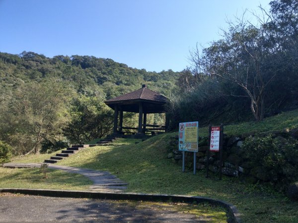 草嶺古道＆灣坑頭山(小百岳#82) 2021/2/61422620