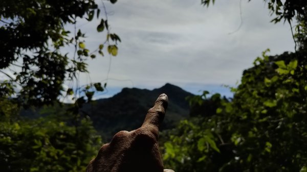 2024/11/9 馬那邦山、細道邦山2645399