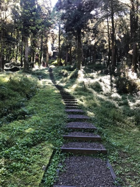 阿里山雙峰大塔山對高岳連走451412