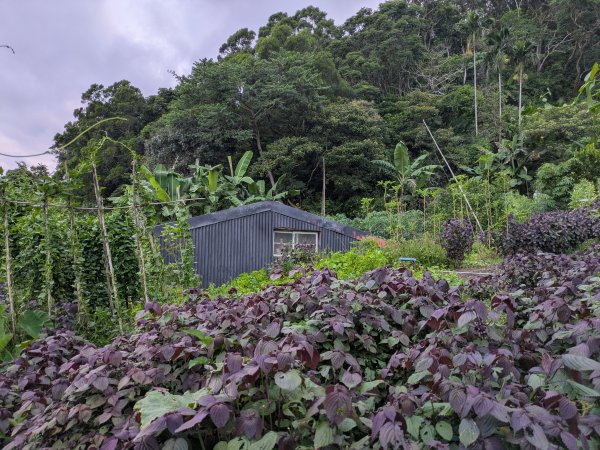淡蘭古道中路2860308