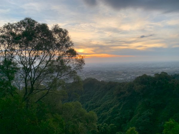 田中森林公園步道1028862