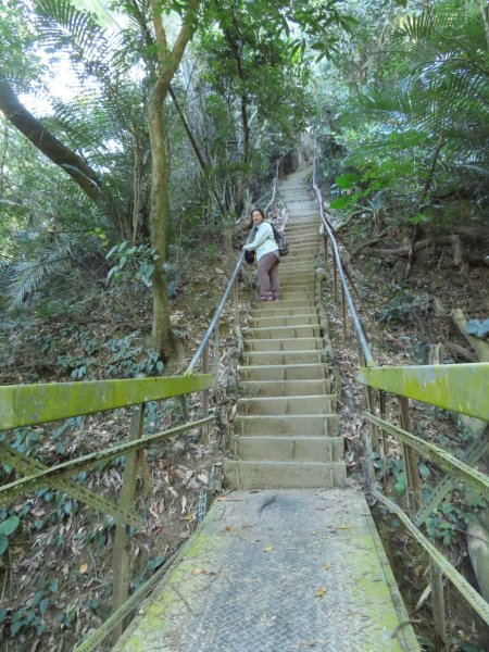 豐原三崁頂健康步道3上2下O形2696141