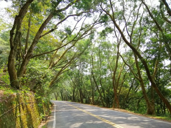 八卦山山脈最高峰。編號48小百岳 橫山754293