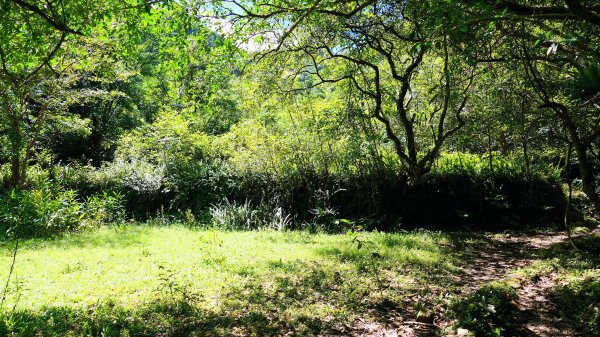 中坑古道東山西山2896469