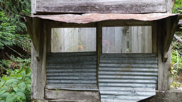 雙龍林道上巒安堂西巒大山1778592