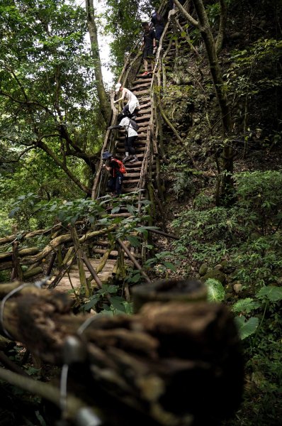 大坑1號步道2865254