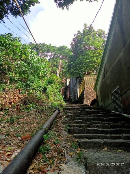 天母水管路步道→天母古道→陽明天主堂2432174