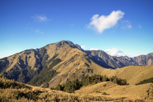 大小劍-油婆蘭全紀錄2674189