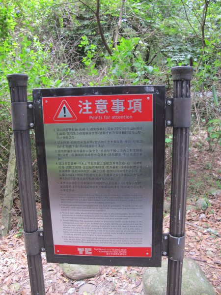 2020-06-05 大坑1號步道985460