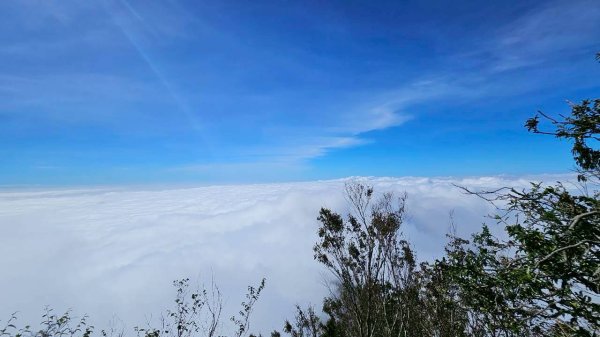 20251106北大武山步道☁️ 喜多麗雲海2931365