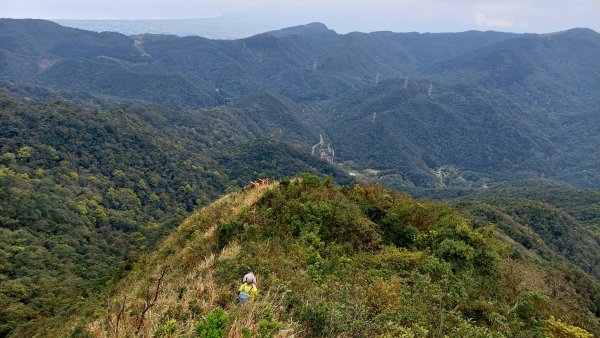 坪林區碧湖宮-四堵崙-四堵山-護管所遺址O型2081772