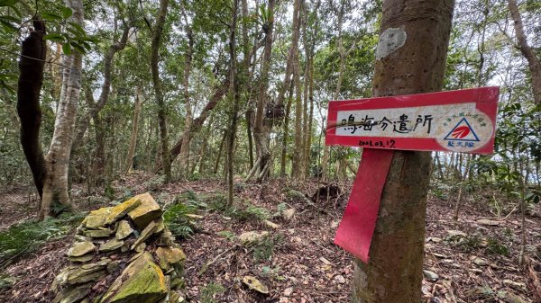 六龜警備道/茂林段/網子山～鳴海山2708208