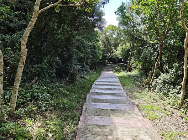 [百山百鳥尋旅-02/15] 2025_0809 社頂自然公園步道2857099