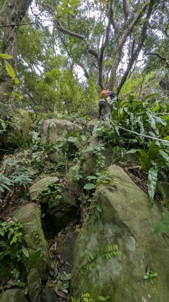 113.12.28小鷹尖-關山嶺-五八山-凌雲尖-龍女岩之旅2679362