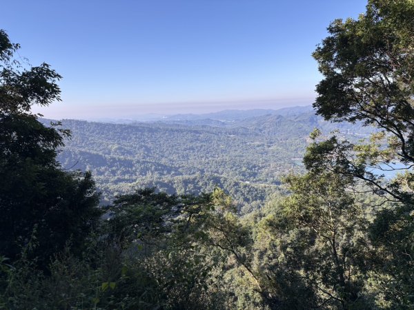 20251123三腳南山登山步道2944446