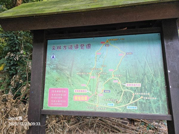 20251223芎林文林古道O走+雞寮坑山+芎林顯伯公野餐2975913