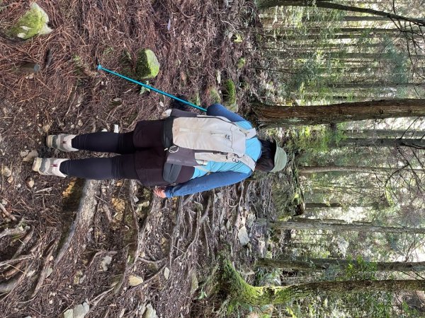 20241010_觀霧森林遊樂園區2855688