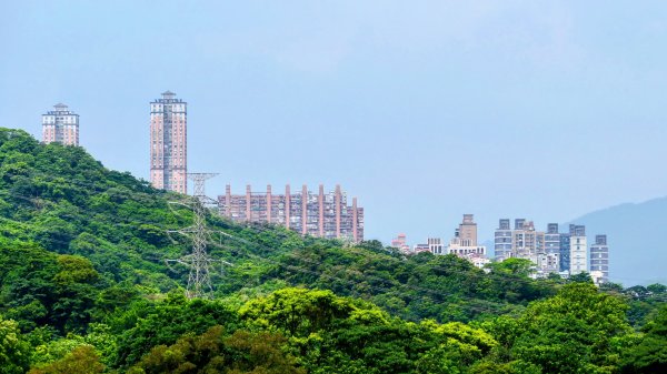 點亮初夏的綠光3085882