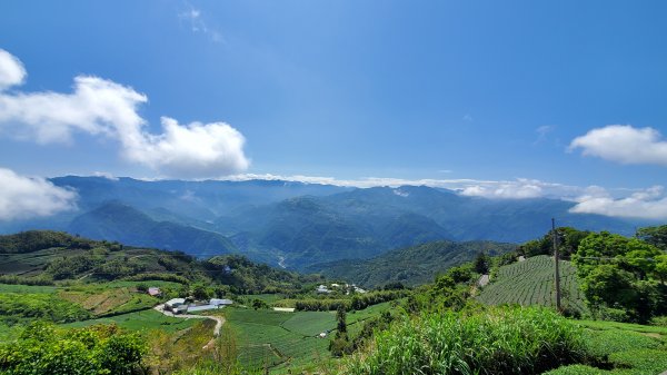 雲嘉大尖山 梨子腳山1727393