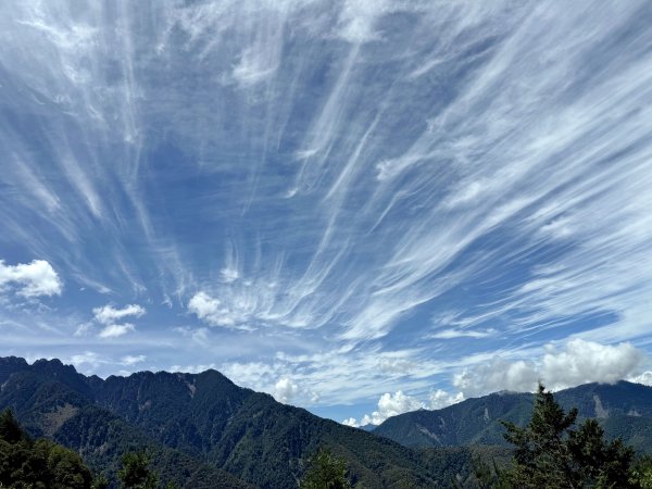 塔塔加楠梓仙溪林道 202506222827100