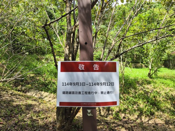 [百山百鳥尋旅-06/15] 2025_0830 貓囒山步道2875706