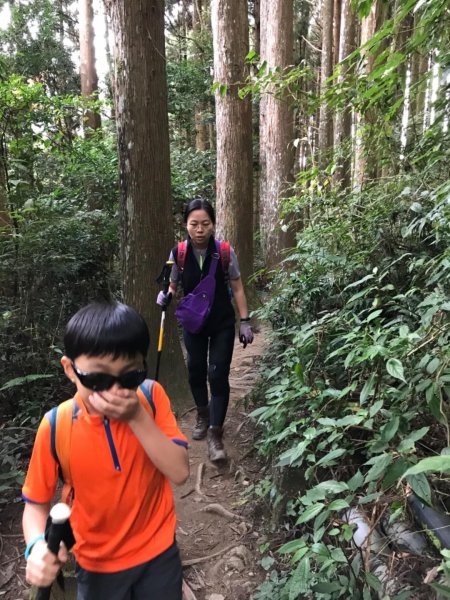 加里山鹿野線461342