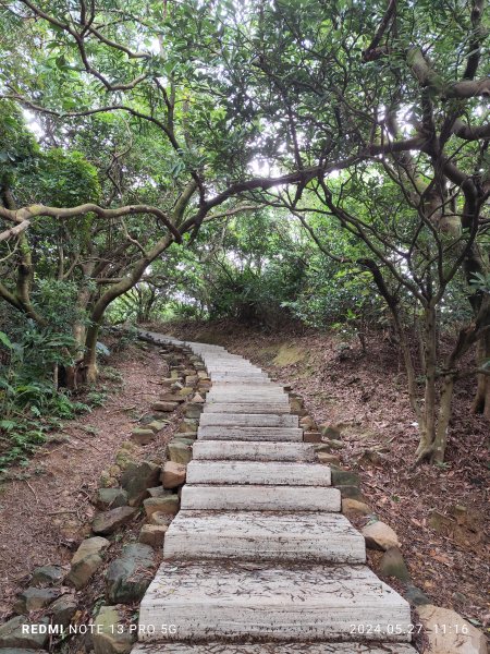 南子吝登山步道【踢不爛大地遊戲】2513436