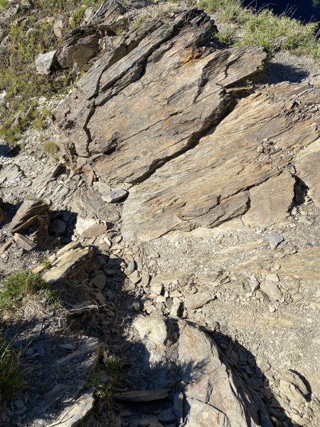 合歡山東峰3065460