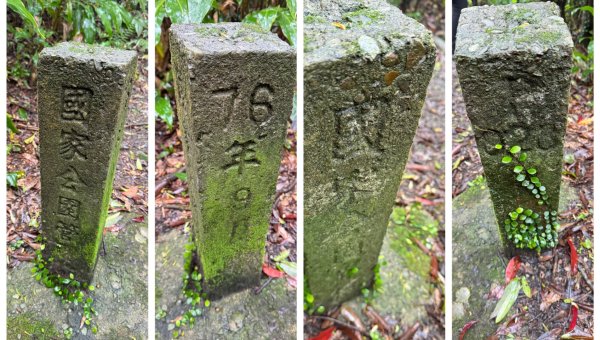 台北縱走第四段訪雙溪山 梅花山與西峰南峰西南峰 碧山3012837