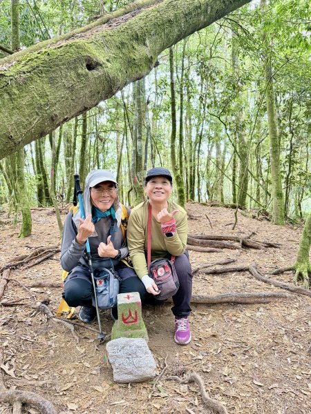 撒落一路楓紅-稍來山    2026.01.012976380