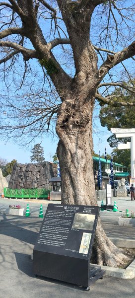 日本九州：熊本城2998485