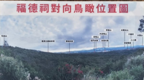 2025/08/17_三和晨光+石崎+背西步道O型2861579